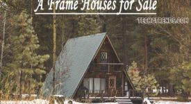 Cozy A frame house for sale nestled in the woods